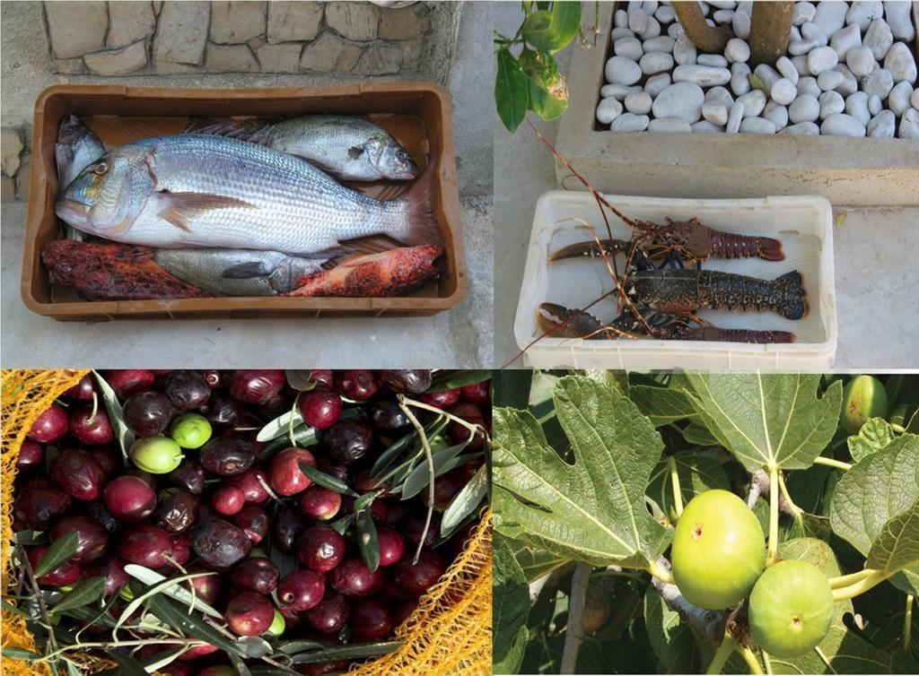 Guest House Sakarun Veli Rat Εξωτερικό φωτογραφία